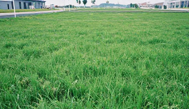 批量业务：环保型防水涂料的市场趋势与应用分析